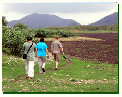 Nature Walks