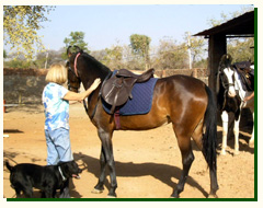 Horse back Riding